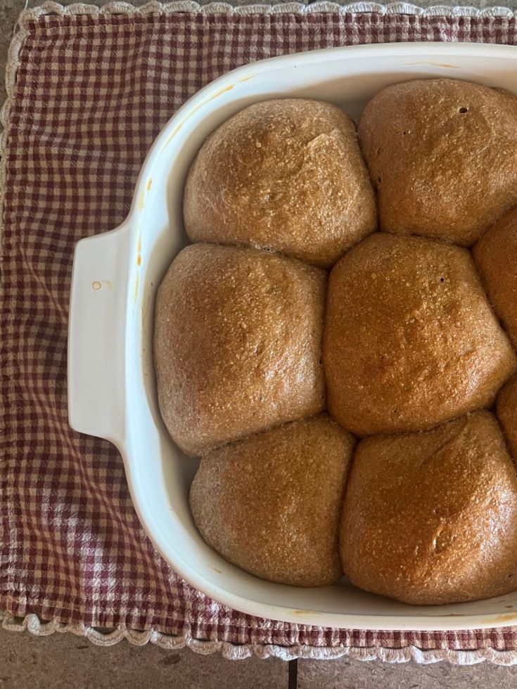 Sourdough Rolls