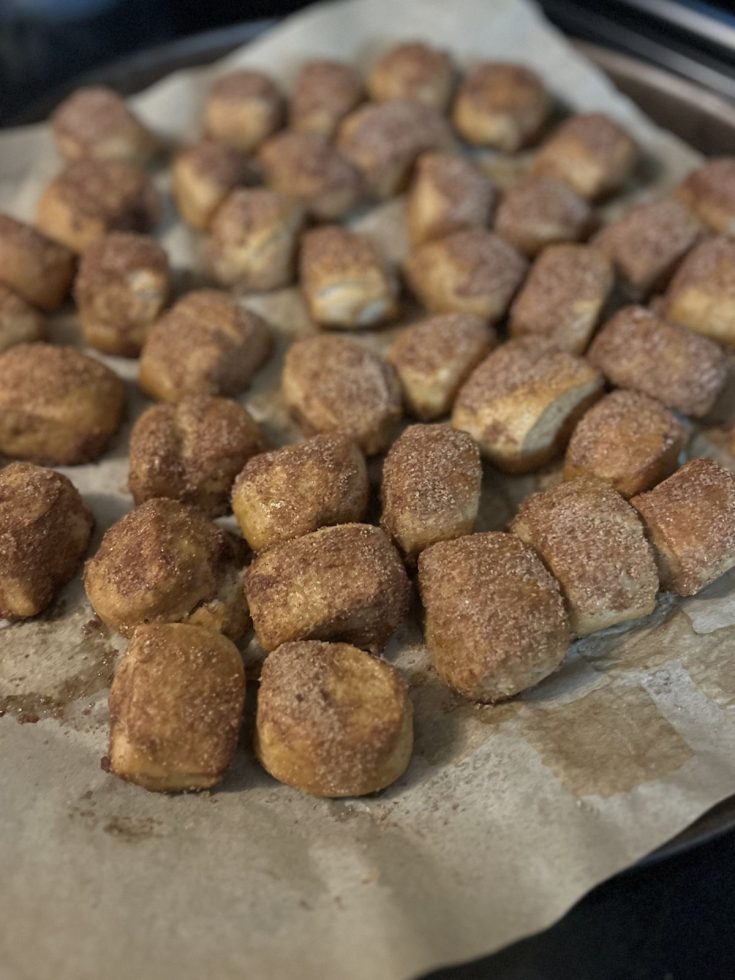 Sourdough Cinnamon Sugar Pretzel Bites